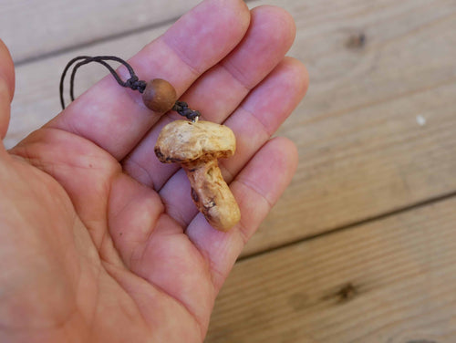 Pilz aus Baumperle
