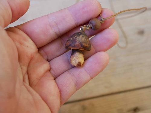 Pilz aus Baumperle