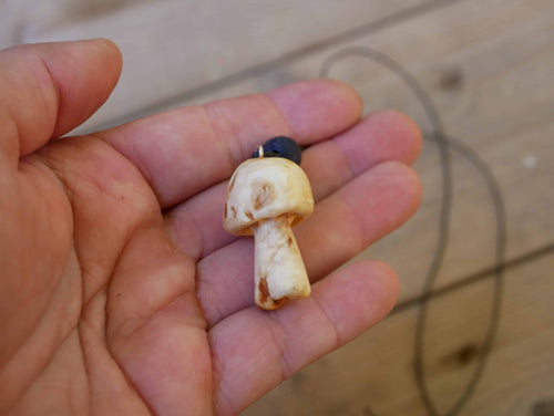 Pilz aus Baumperle