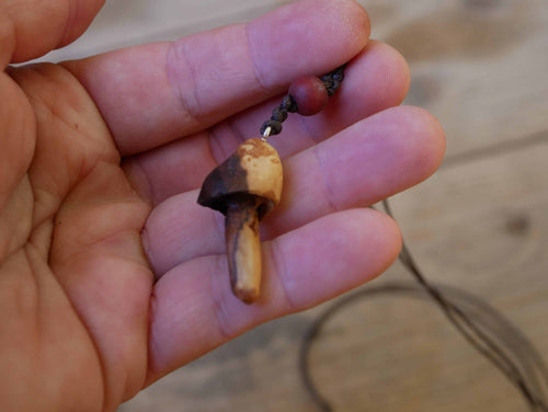 Pilz aus Baumperle