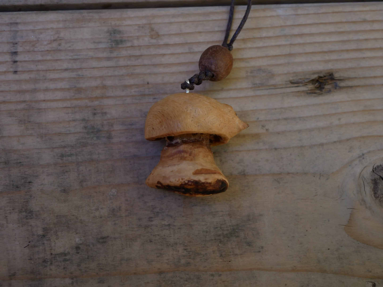 Pilz aus Baumperle