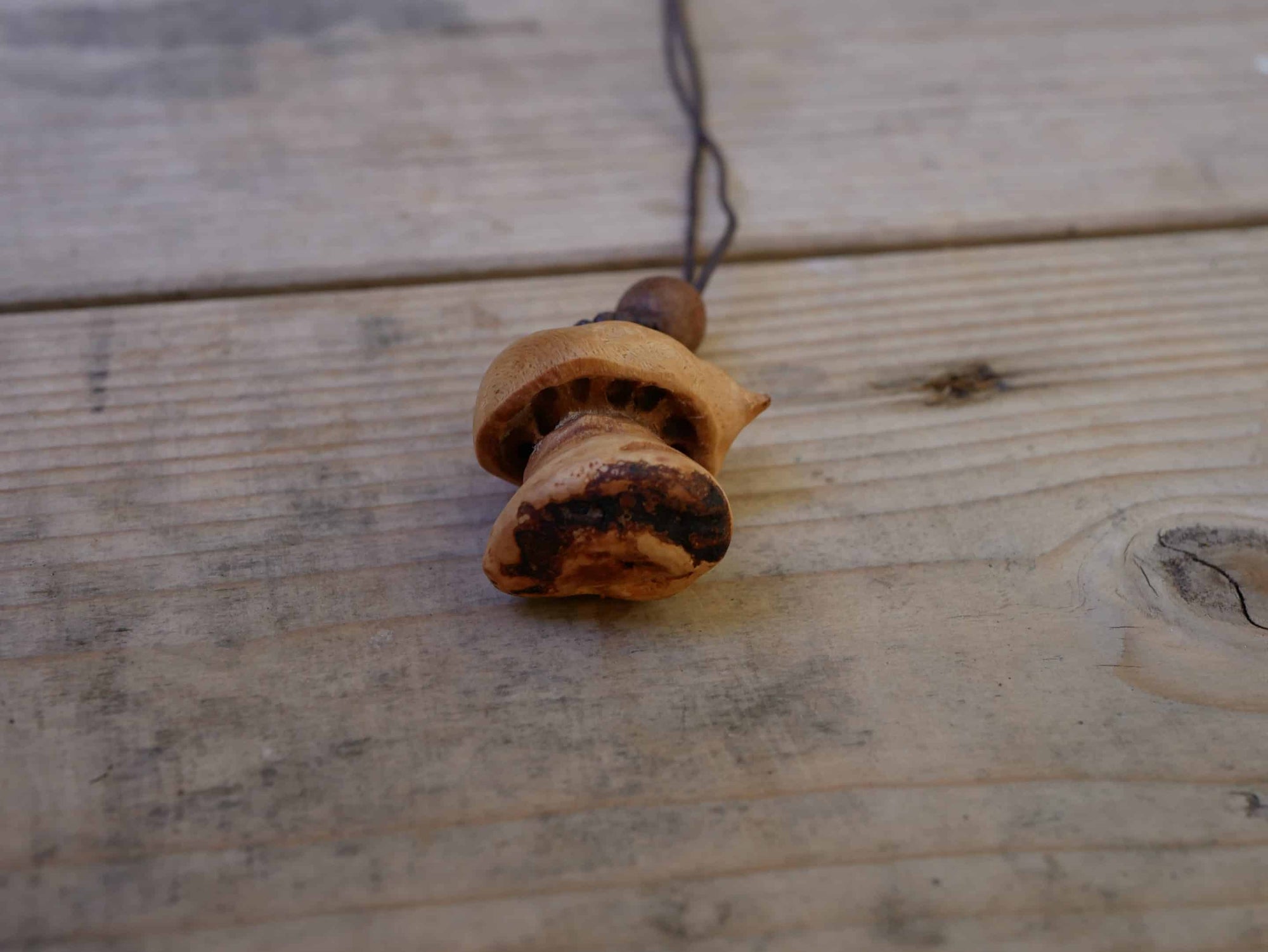 Pilz aus Baumperle