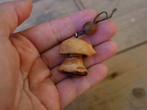 Pilz aus Baumperle