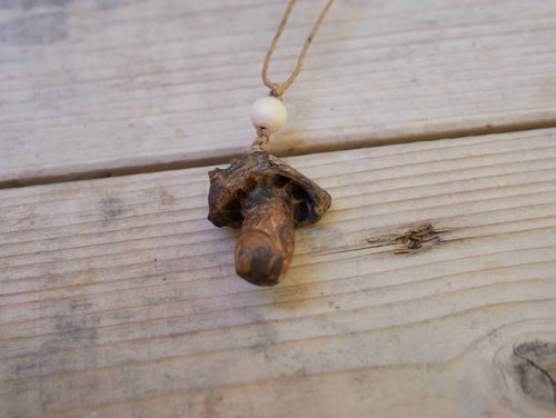 Pilz aus Baumperle