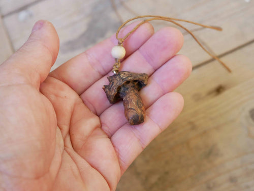 Pilz aus Baumperle