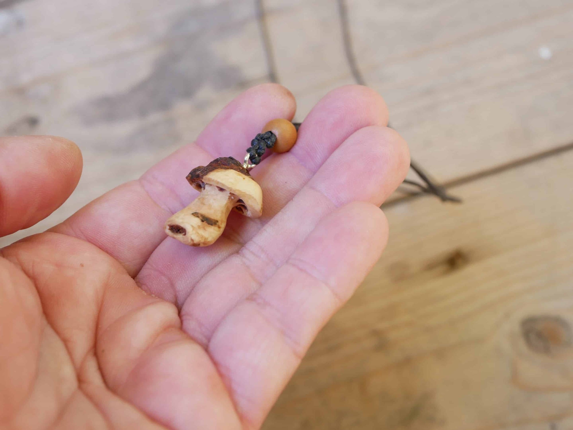 Pilz aus Baumperle