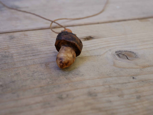 Pilz aus Baumperle