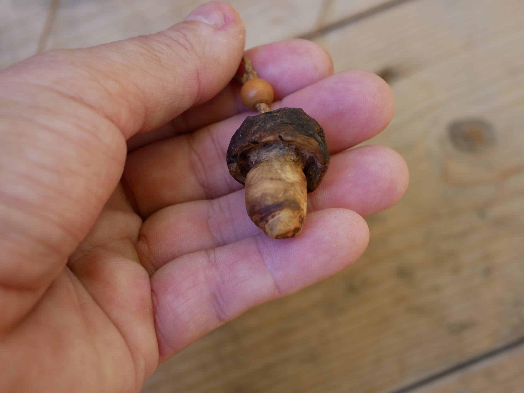 Pilz aus Baumperle
