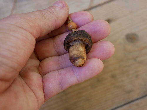 Pilz aus Baumperle