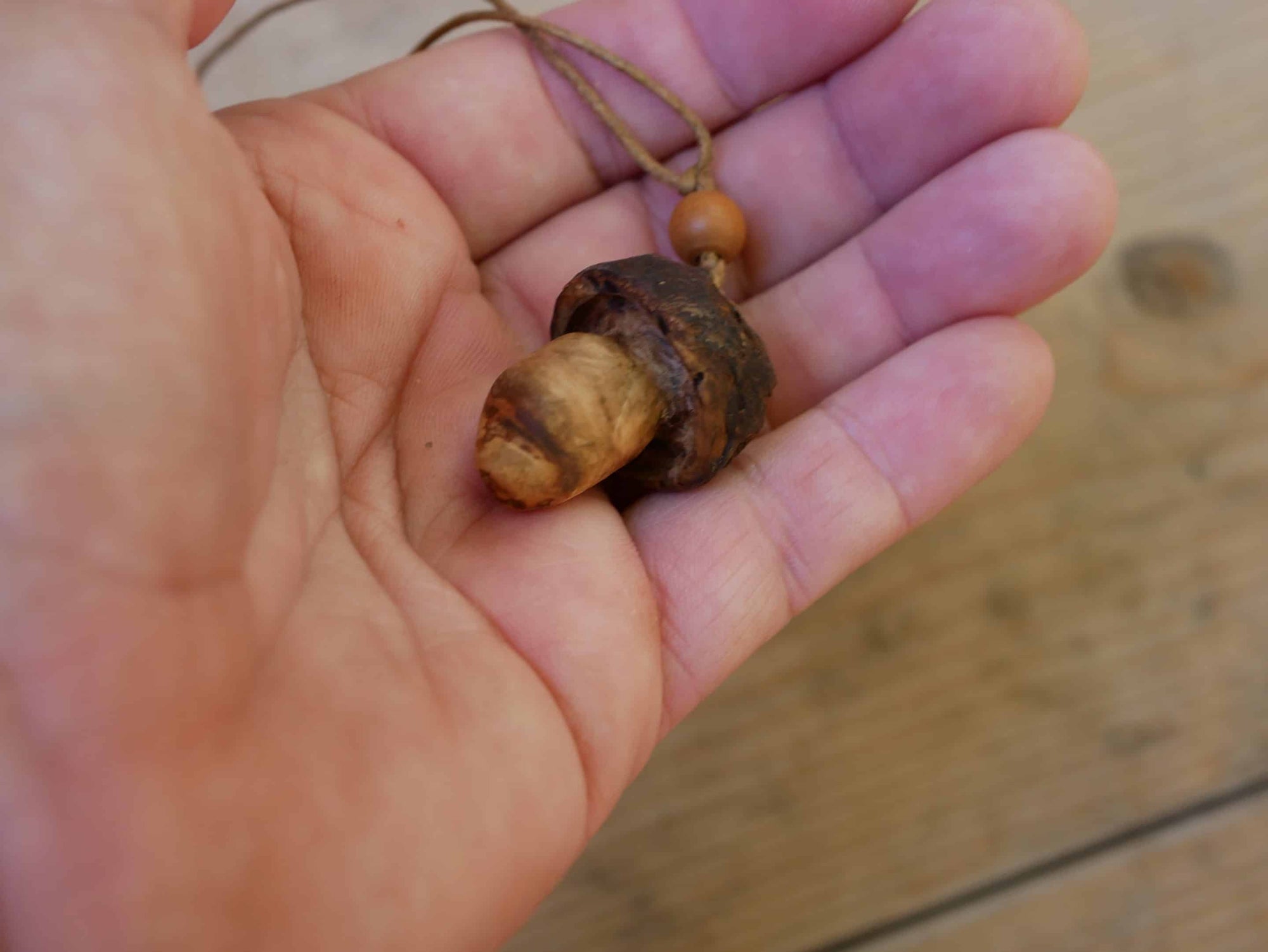 Pilz aus Baumperle