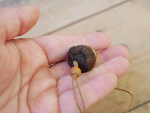Pilz aus Baumperle