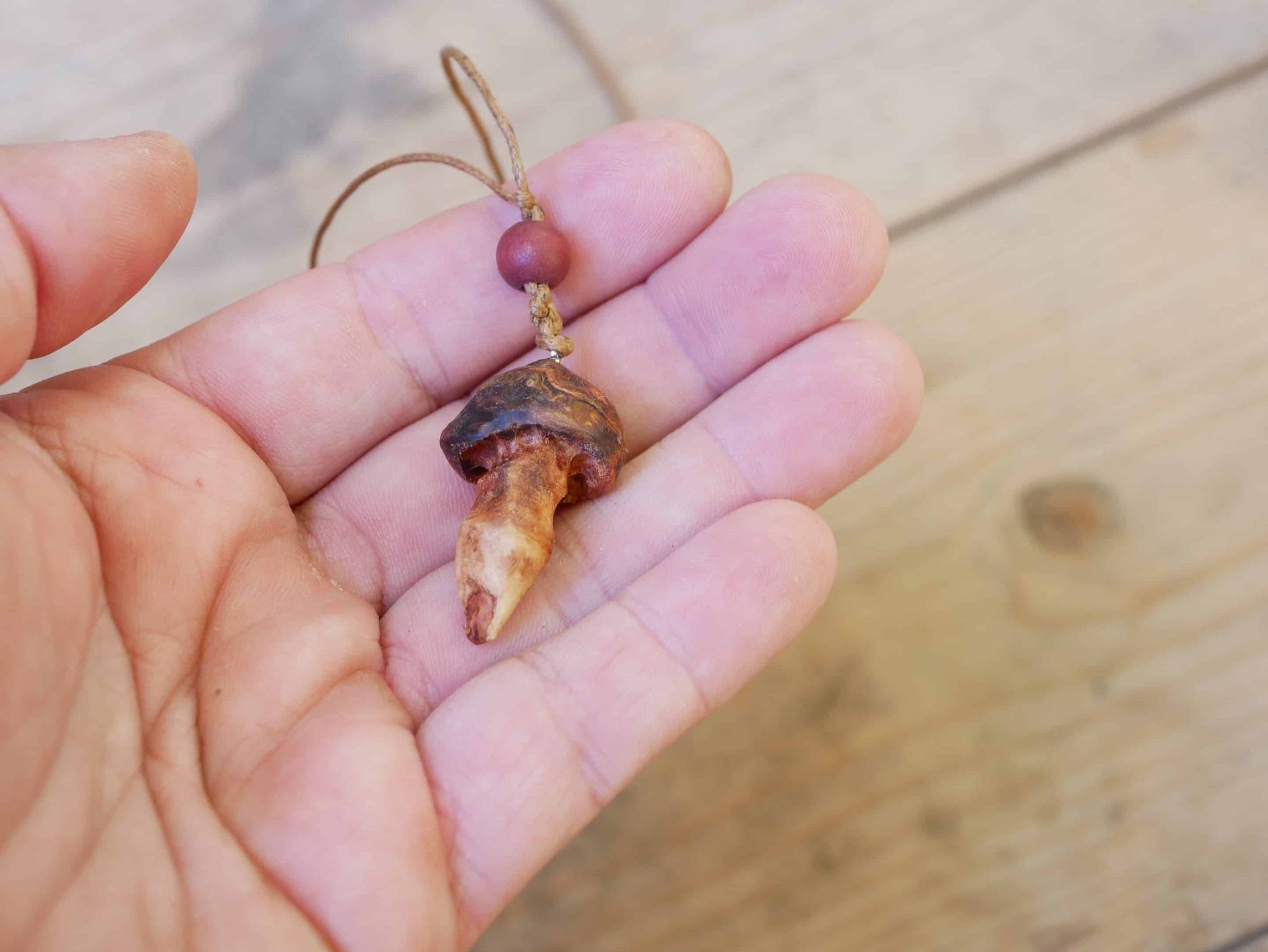 Pilz aus Baumperle