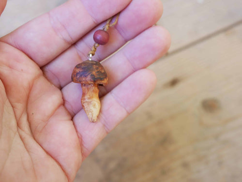 Pilz aus Baumperle