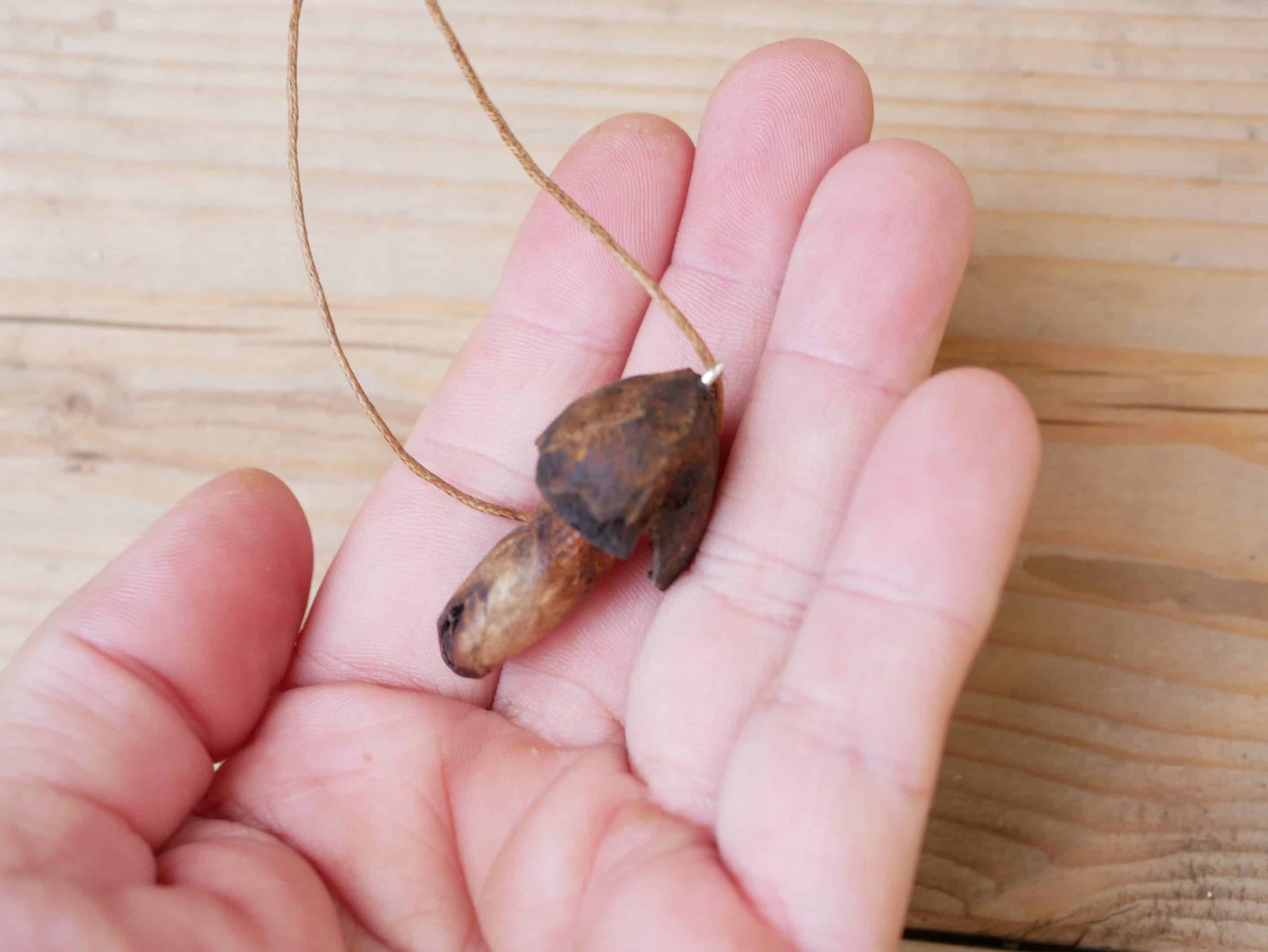 Pilz aus Baumperle
