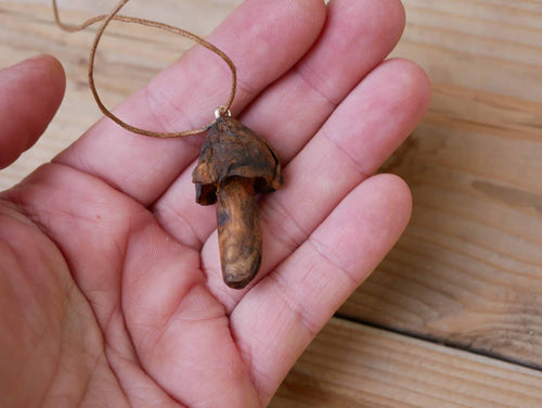 Pilz aus Baumperle