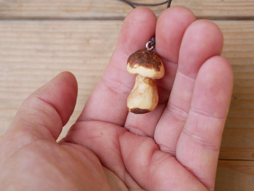 Pilz aus Baumperle