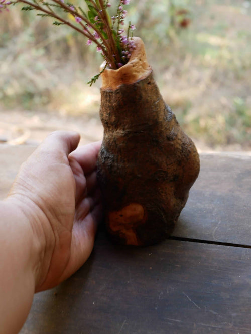 Vase aus Großer Baumperle für Trockenblumen
