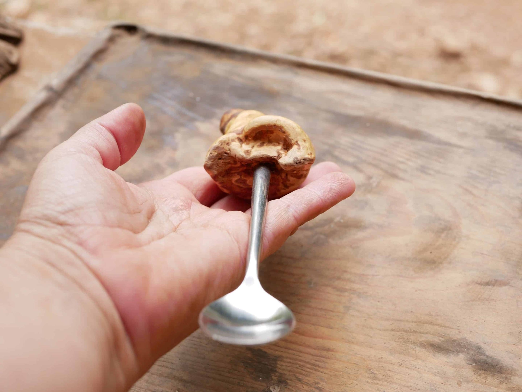 Löffel mit Baumperle