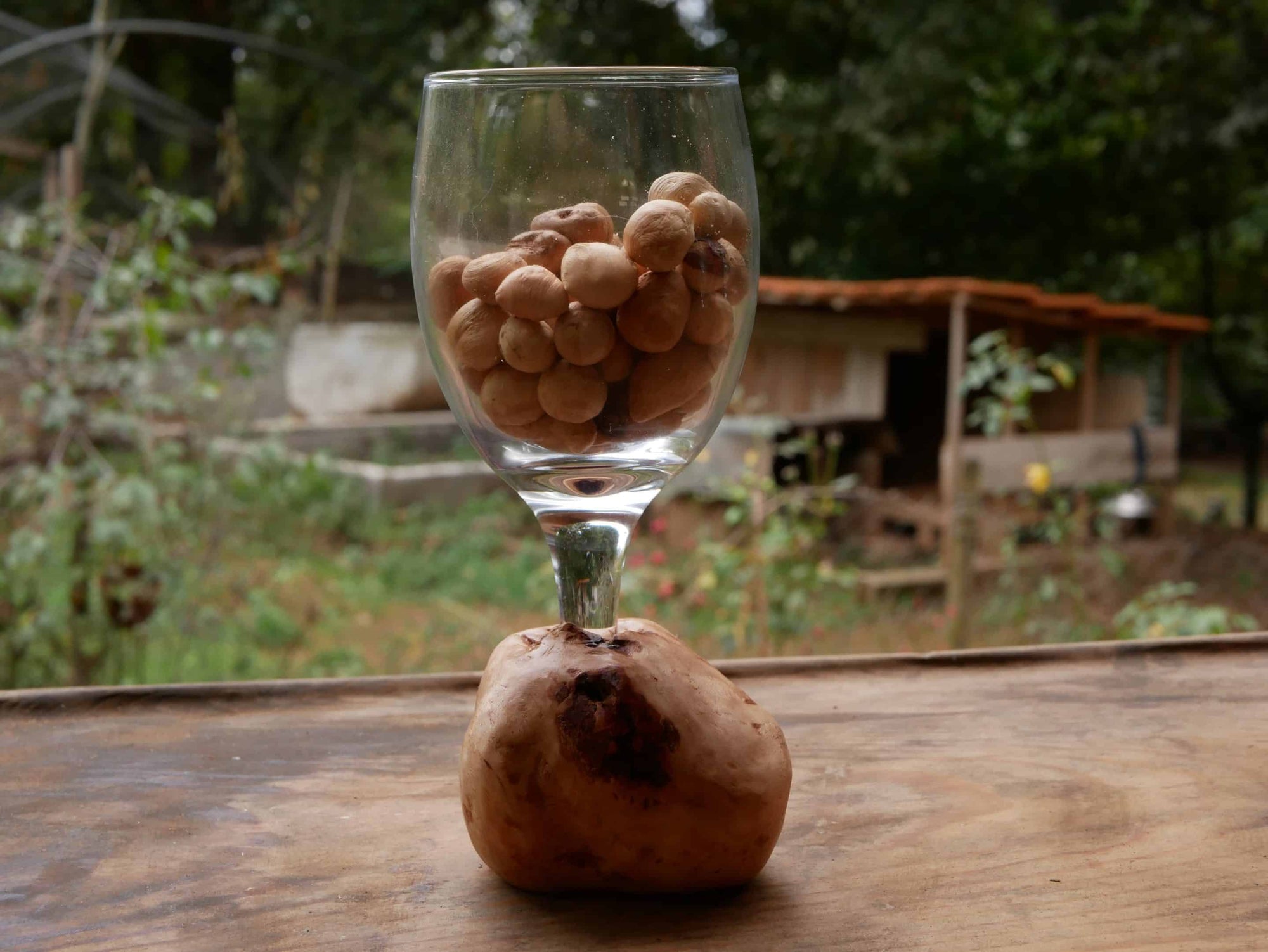 Glas mit einer eingearbeiteten Baumperle