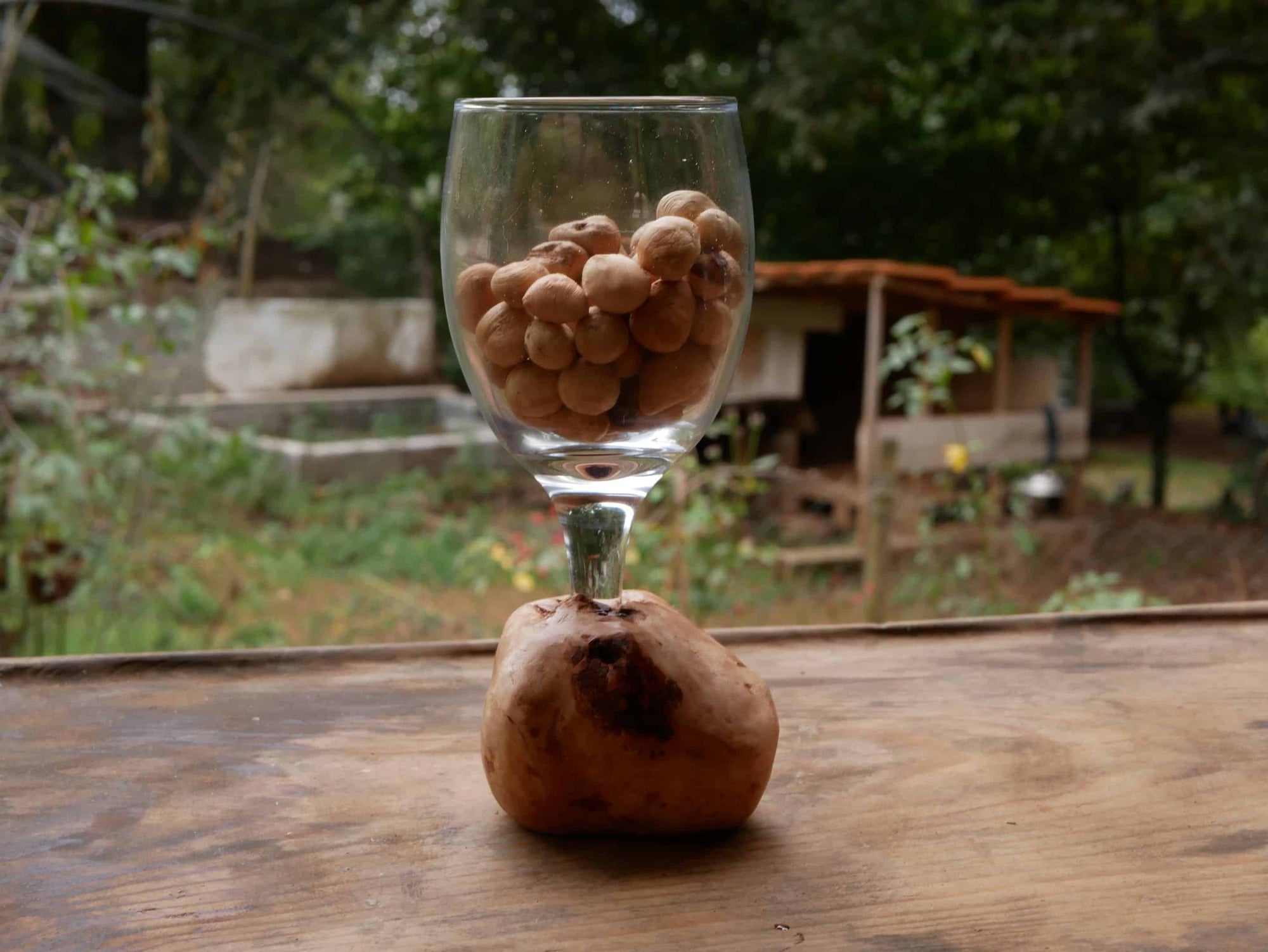 Glas mit einer eingearbeiteten Baumperle