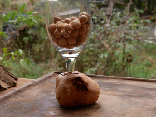 Glas mit einer eingearbeiteten Baumperle