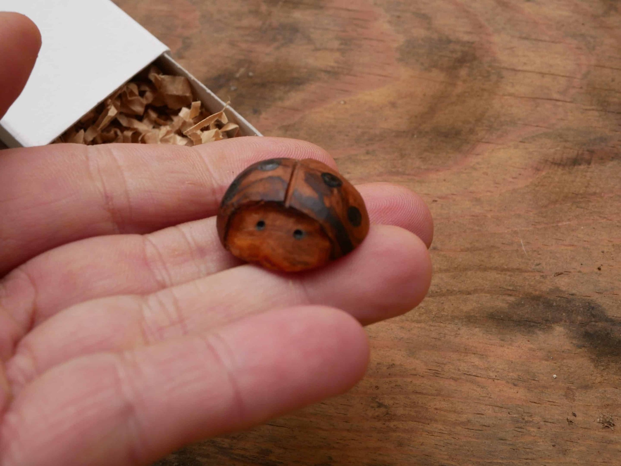 Käfer Baumperle als Handschmeichler