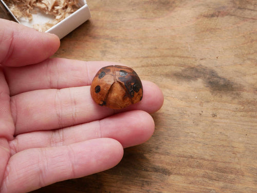 Käfer Baumperle als Handschmeichler