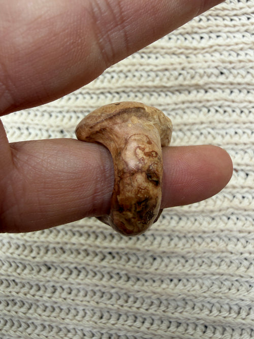Der Weiße Weise Ring