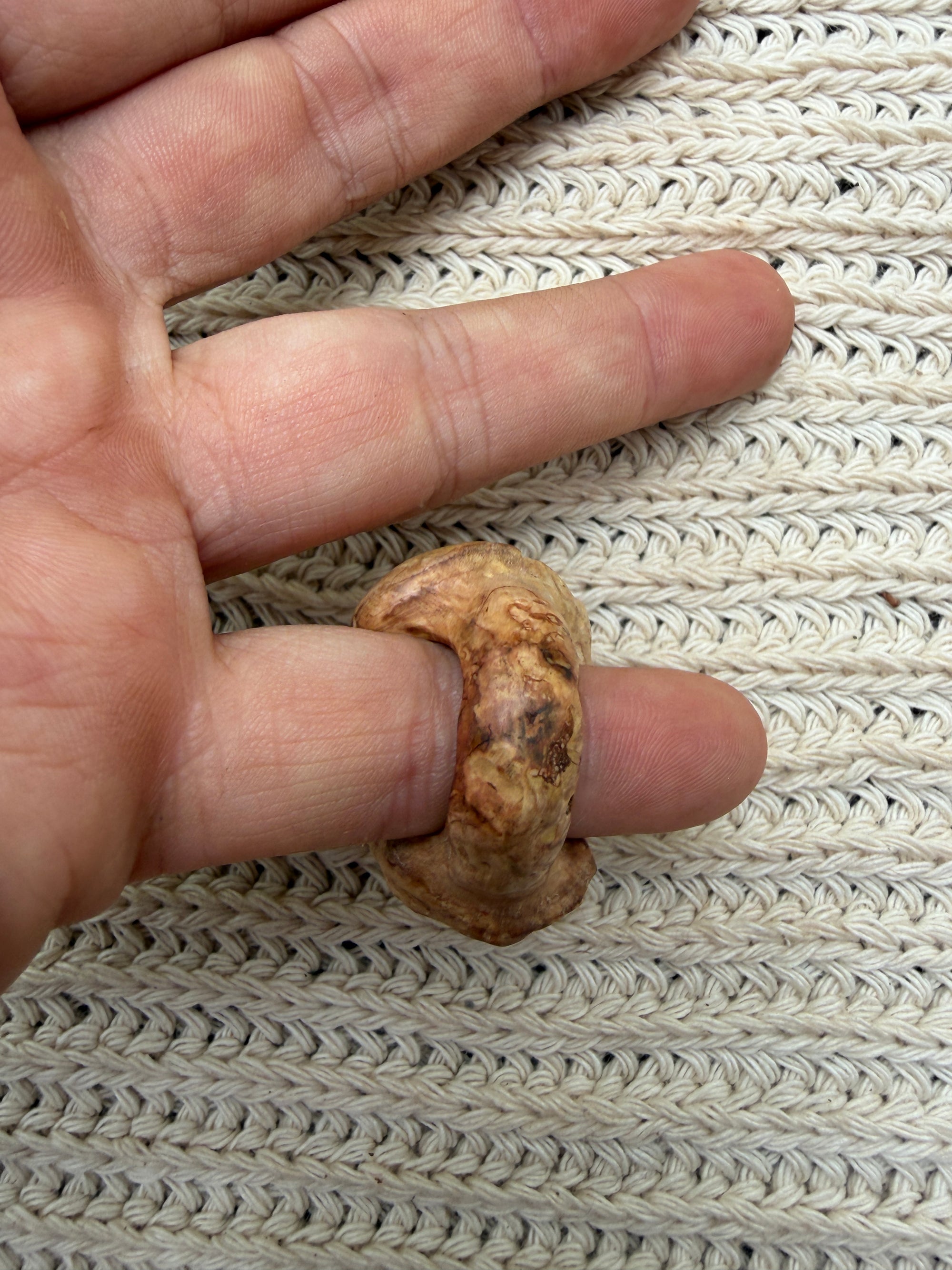 Der Weiße Weise Ring