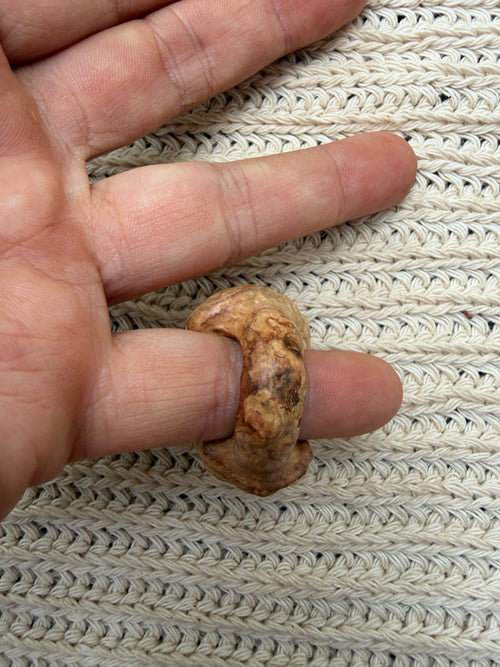Der Weiße Weise Ring