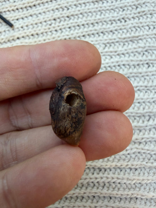 Schuhwichtel Lunobert