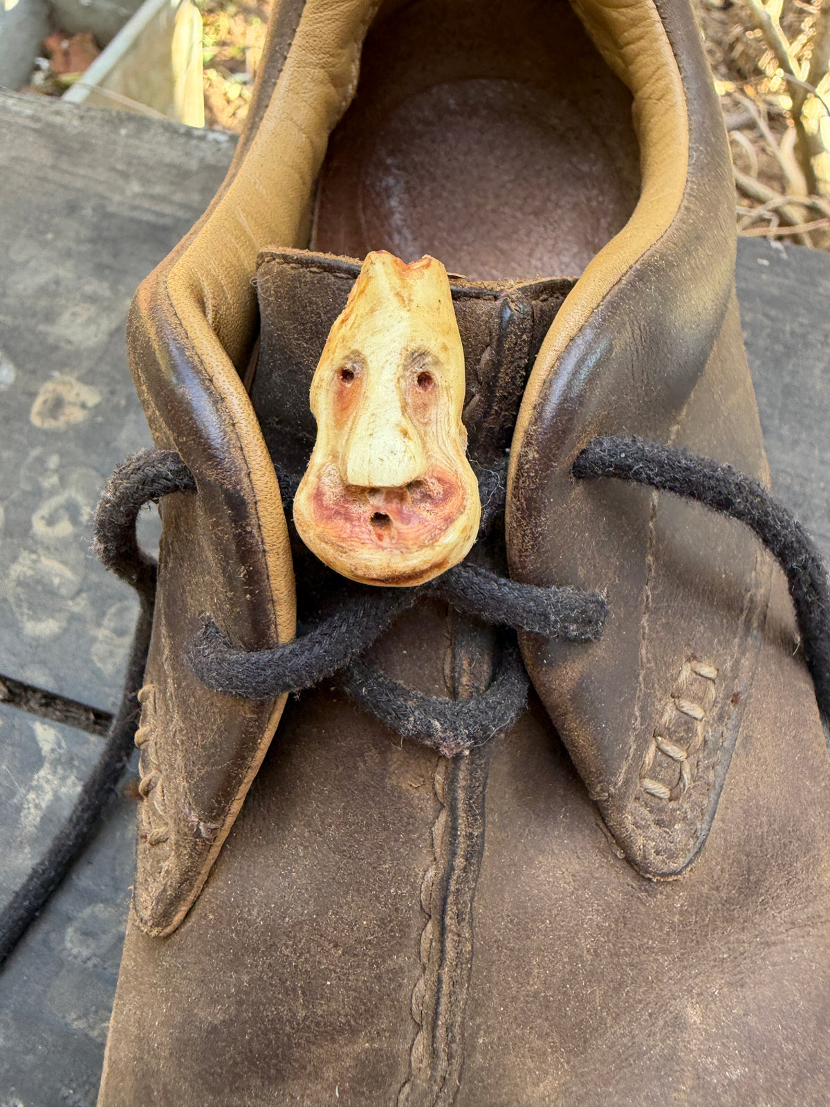 Schuhwichtel Momo Löwenherz