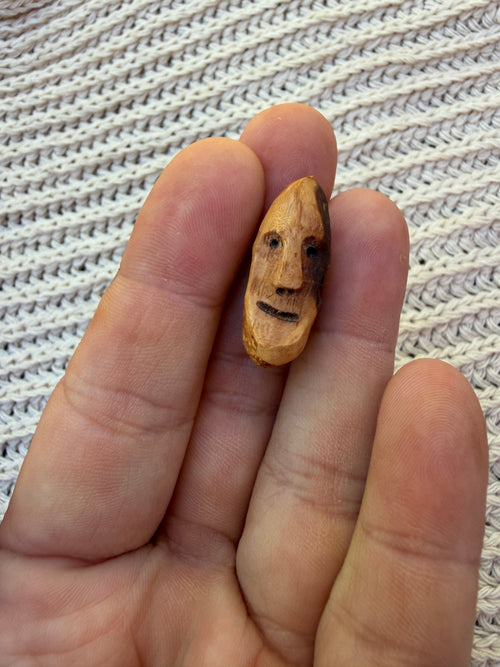 Schuhwichtel Fred