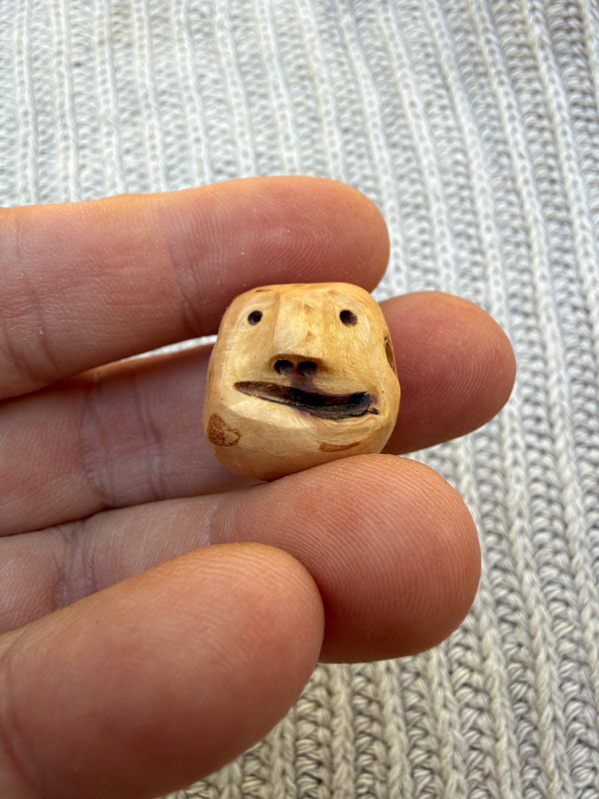 Schuhwichtel Fred
