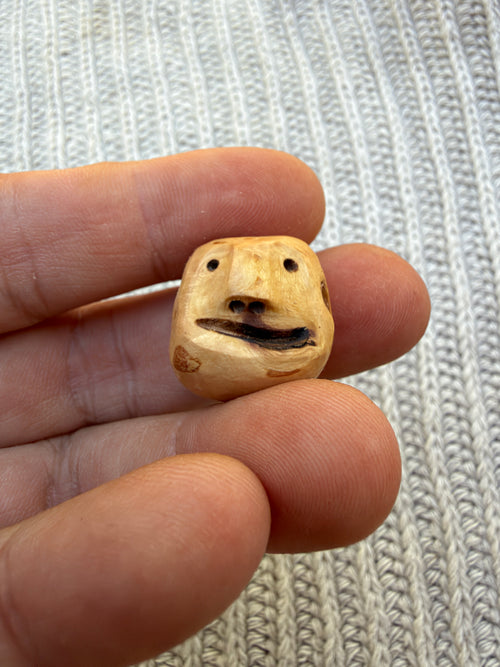 Schuhwichtel Fred