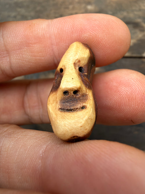 Schuhwichtel Munki