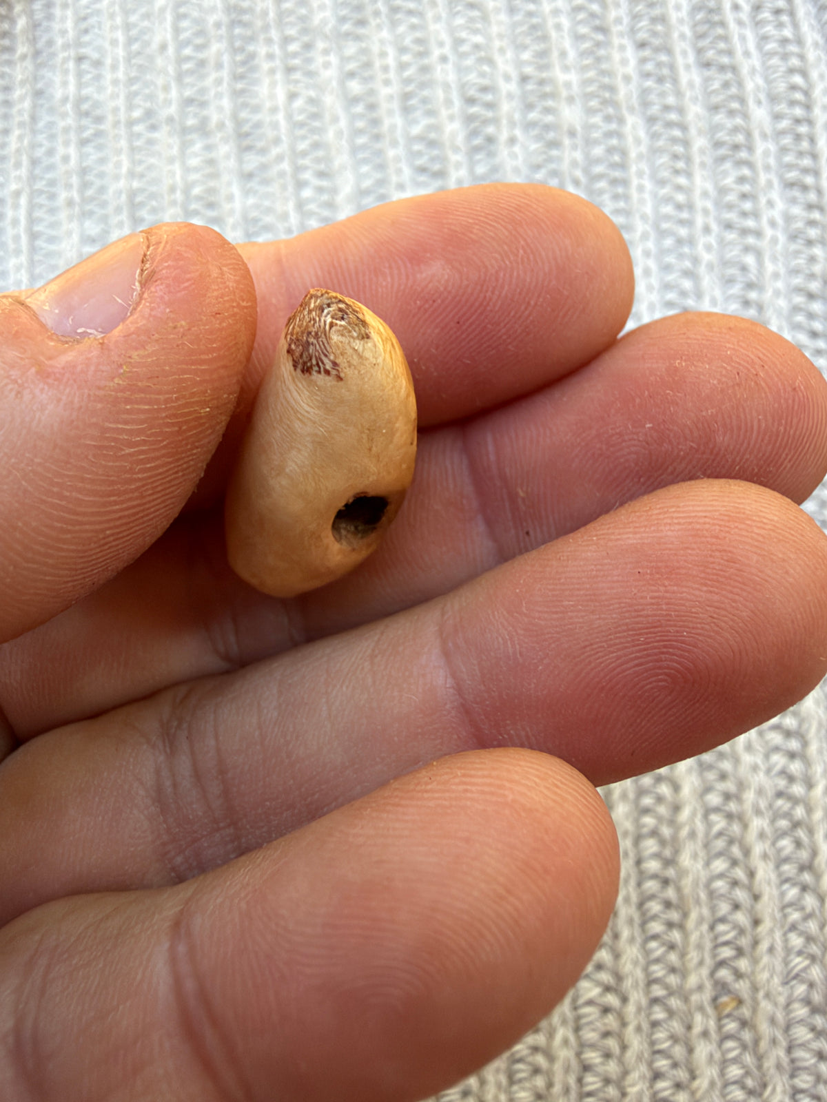 Schuhwichtel Oskar