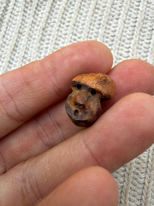 Schuhwichtel Pilzi
