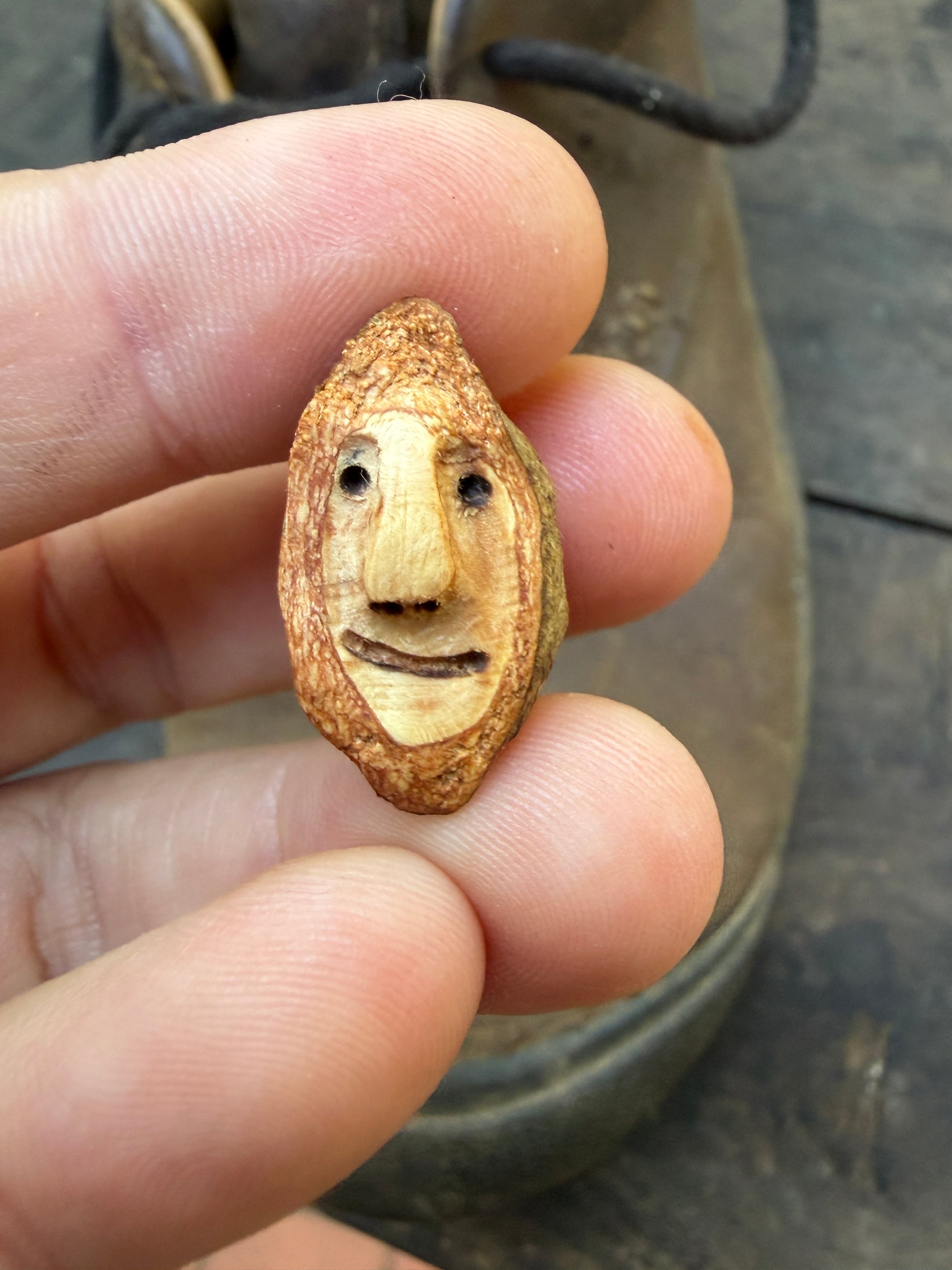Schuhwichtel Schleicherich