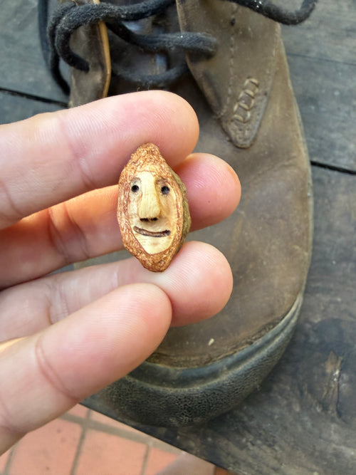 Schuhwichtel Schleicherich