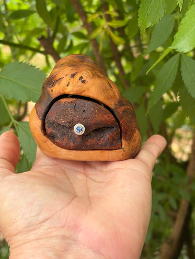 Bandsägenbox aus Baumperle