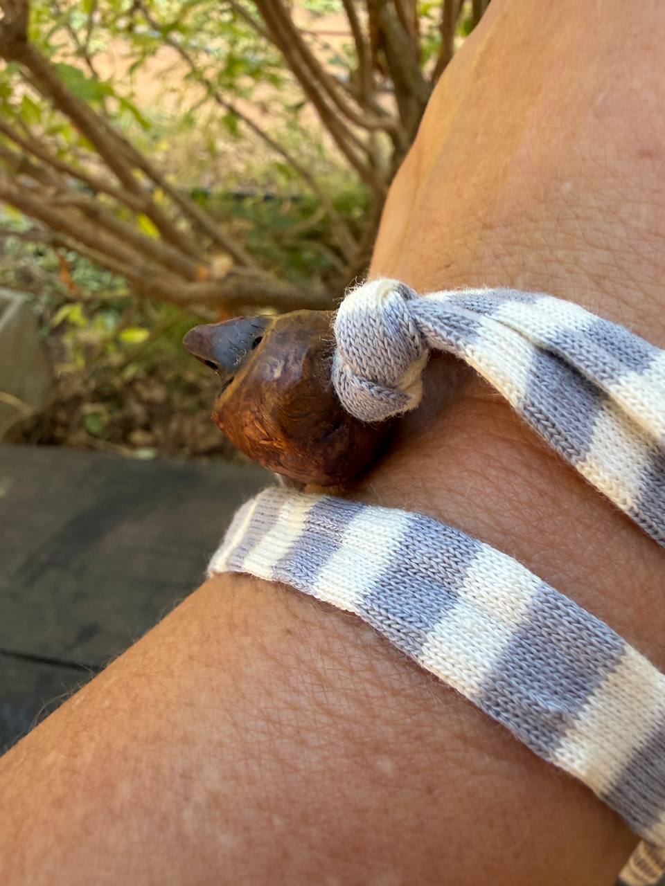 Armbandwichtel Pappli handgeschnitzt aus magischer Baumperle