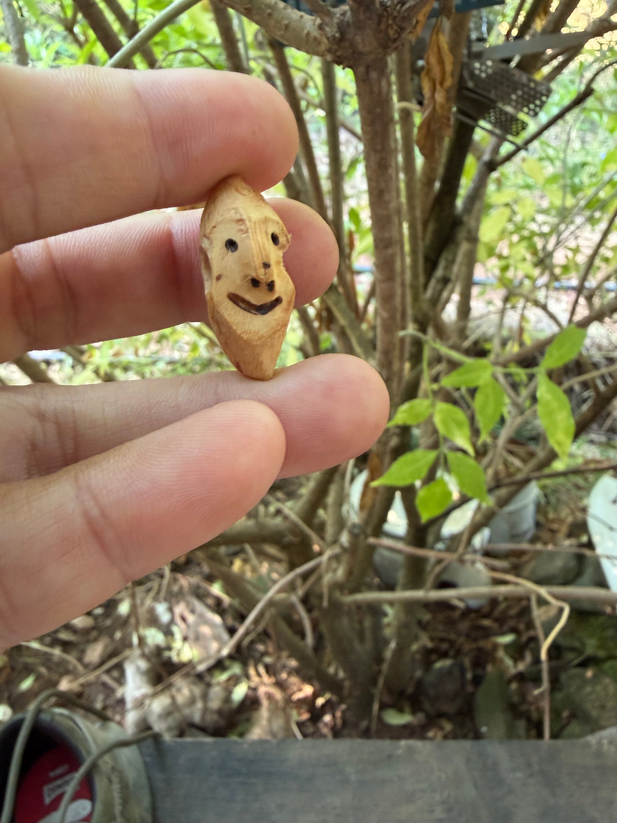 Schuhwichtel Grimvek