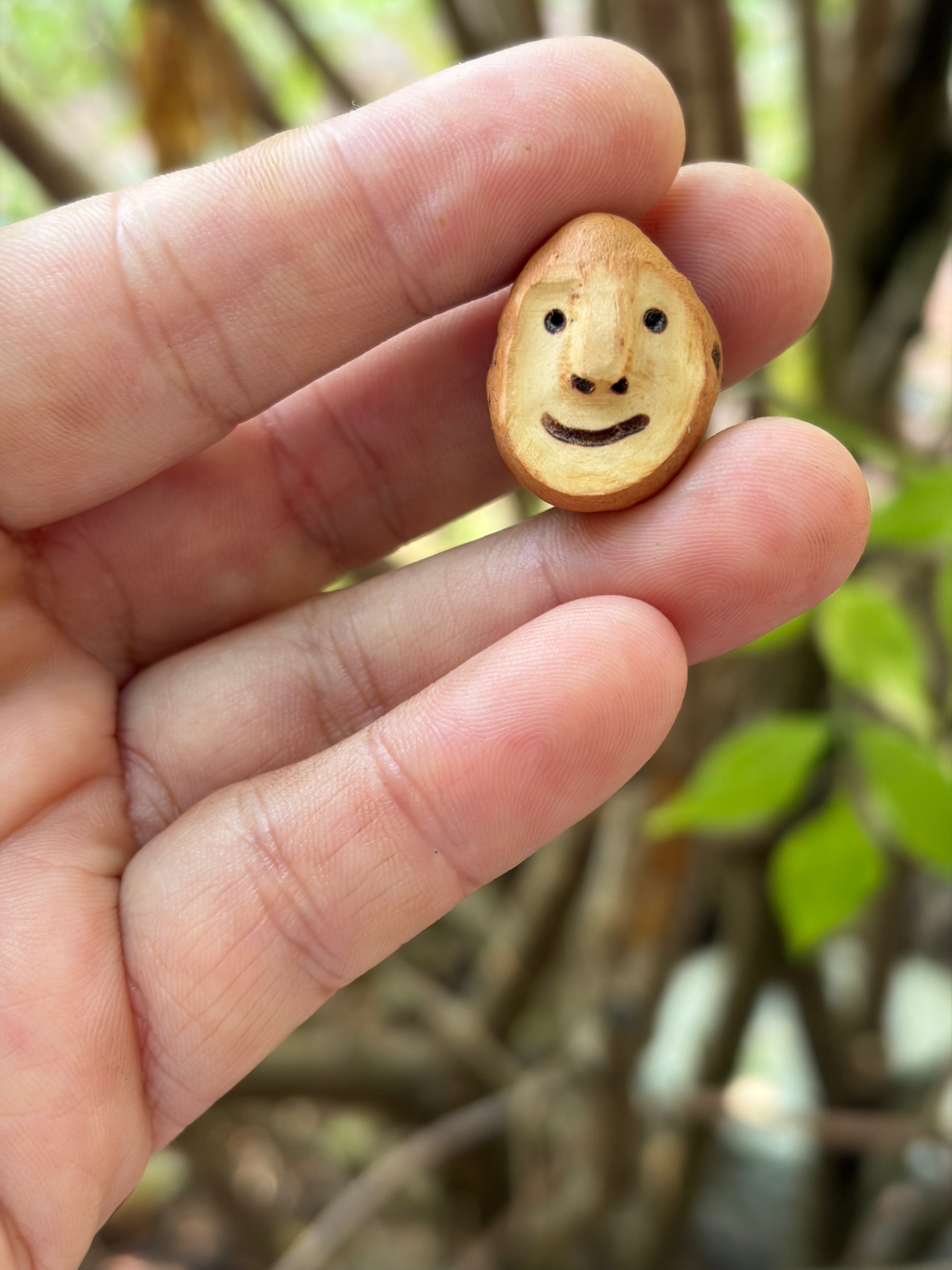 Schuhwichtel Bjornek