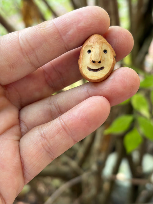 Schuhwichtel Bjornek