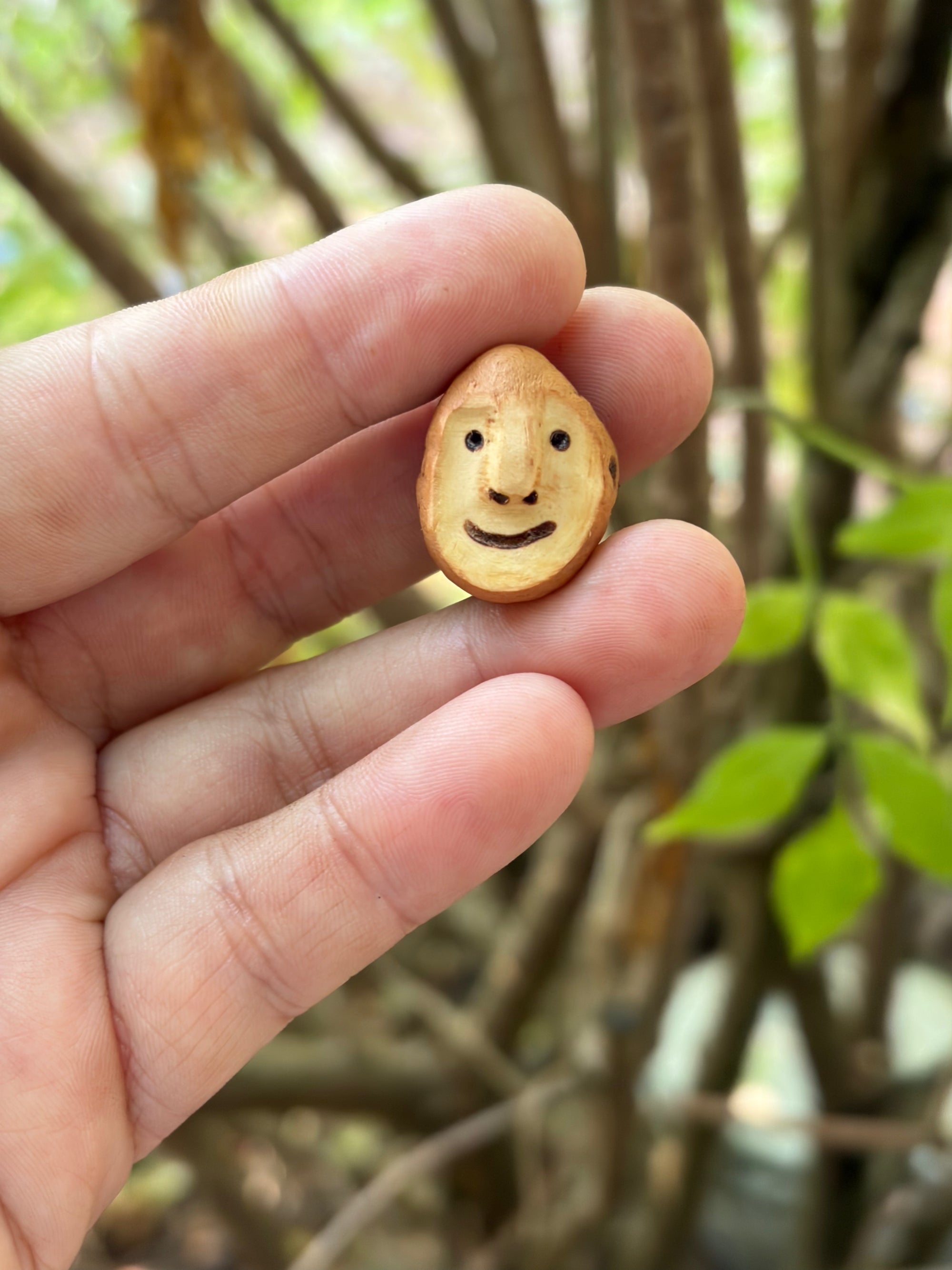 Schuhwichtel Bjornek
