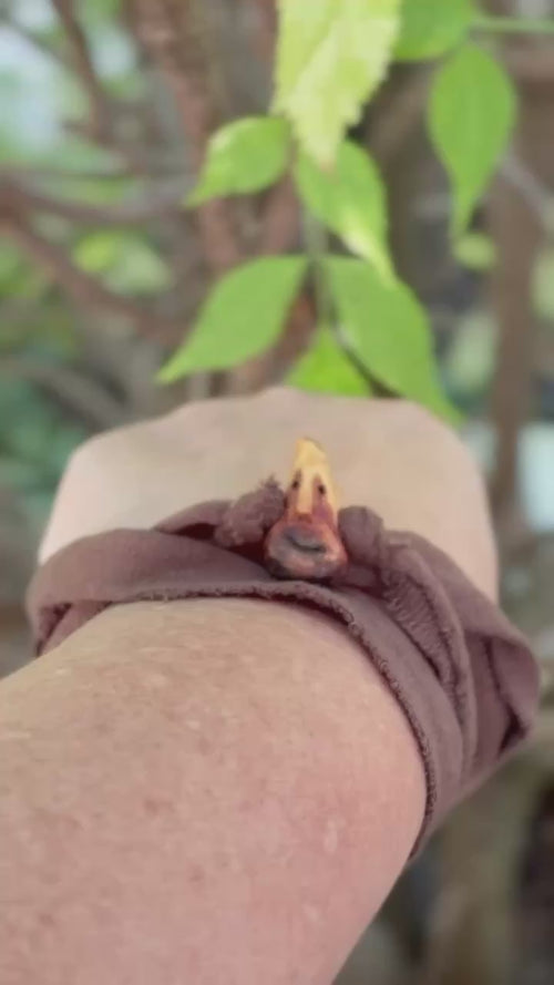 Armband mit Wichtel