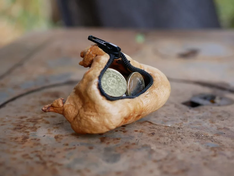 Holzschale aus Baumperle mit Reißverschluss