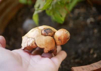 Schildkröte aus Baumperle