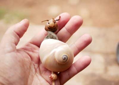 Schnecke und Baumperle